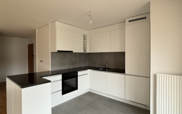 Appartement 3.5 pièces - image - 2