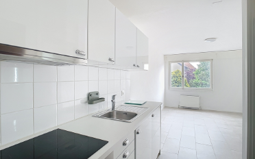 Wohnung ein Zimmer - image - 2