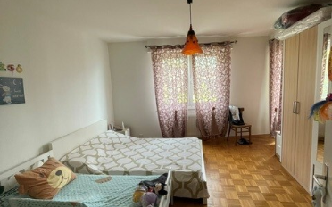 Wohnung 2.5 Zimmer - image - 1