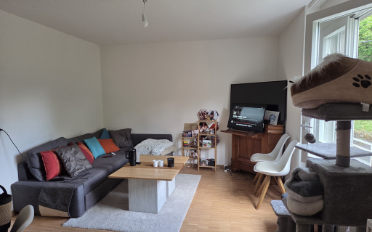 Appartement 1.5 pièces - image - 2