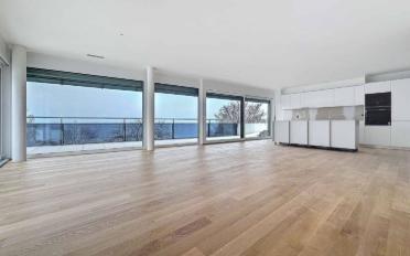 Attikawohnung 5.5 Zimmer - image - 1