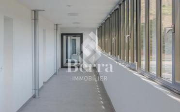 Wohnung 2.5 Zimmer - image - 12
