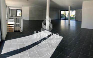 Office 1 room - image - 12