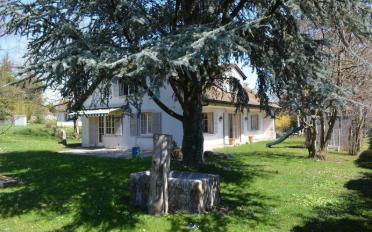 Maison 6.5 pièces - image - 4