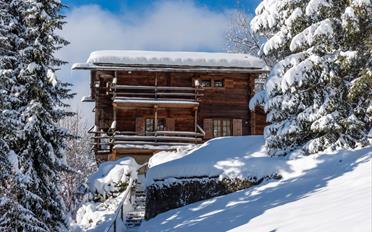 Chalet 6 rooms - image - 4