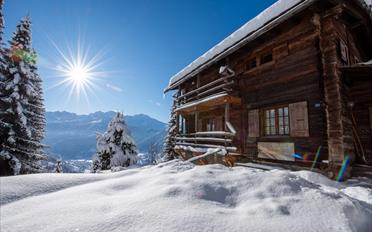 Chalet 6 rooms - image - 2