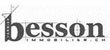 Besson Immobilier SA