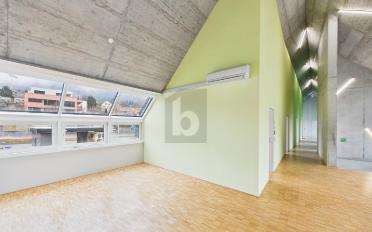 Büro 8.5 Zimmer - image - 5