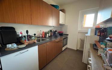 Einfamilienhaus 5.5 Zimmer - image - 4