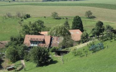Bauernhaus 13 Zimmer - image - 3