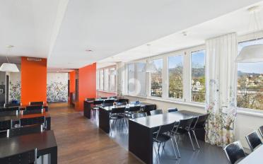 Büro 7 Zimmer - image - 4