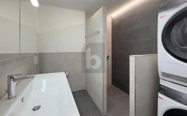 Wohnung 4.5 Zimmer - image - 5