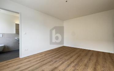 Wohnung 4.5 Zimmer - image - 4