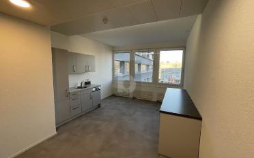 Office 10 rooms - image - 2