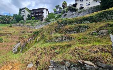 Terrain à bâtir - image - 5