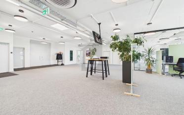 Büro 9 Zimmer - image - 2