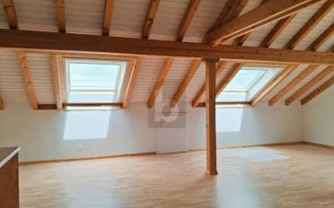 Duplex 5.5 pièces - image - 4