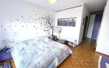 Doppeleinfamilienhaus 9.5 Zimmer - image - 2