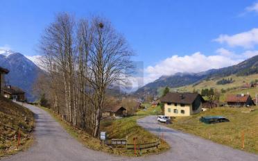 Chalet 7 rooms - image - 2