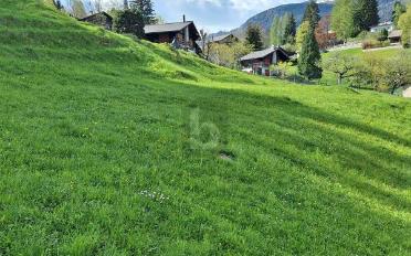 Building land - image - 1