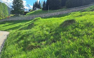 Building land - image - 5