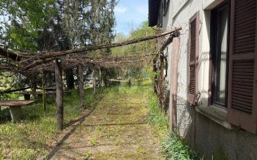 Single house 8 rooms - image - 3