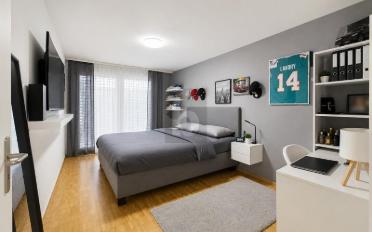 Duplex 5.5 Zimmer - image - 5