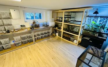 Einfamilienhaus 7 Zimmer - image - 2
