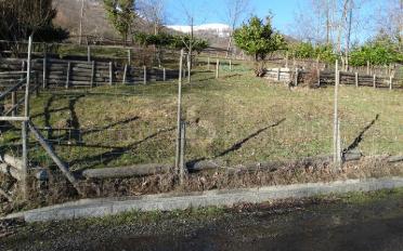 Agricultural land - image - 4