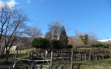 Agricultural land - image - 2