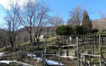 Agricultural land - image - 5