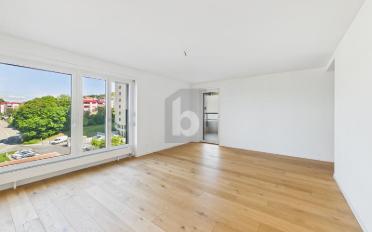 Wohnung 2.5 Zimmer - image - 2