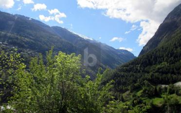 Building land - image - 1
