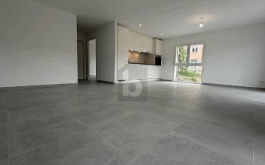 Wohnung 2.5 Zimmer - image - 1
