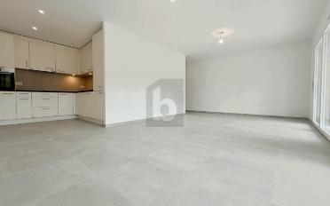 Wohnung 2.5 Zimmer - image - 1