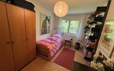 Wohnung 4.5 Zimmer - image - 5