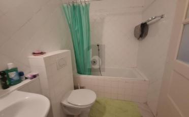 Bifamiliar house 9 rooms - image - 3