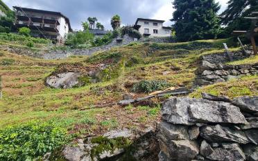Terrain à bâtir - image - 2