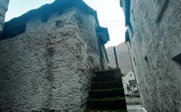 Single house 3 rooms - image - 4