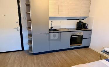Apartment 1 room - image - 5