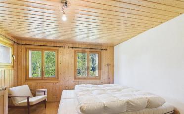 Chalet 4.5 rooms - image - 4