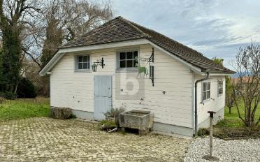 Einfamilienhaus 12 Zimmer - image - 2