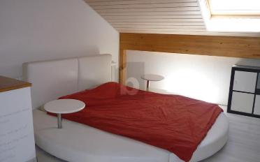 Furnished flat 1.5 rooms - image - 3