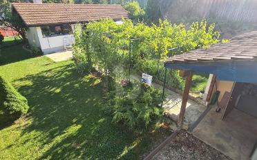 Single house 12 rooms - image - 4