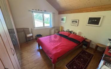 Single house 3.5 rooms - image - 5
