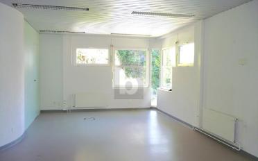 Bureau 5 pièces - image - 2