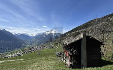 Chalet 5.5 pièces - image - 3