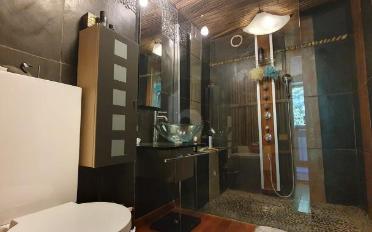Single house 9.5 rooms - image - 5