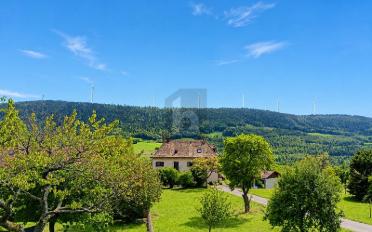 Reihenfamilienhaus 7.5 Zimmer - image - 2
