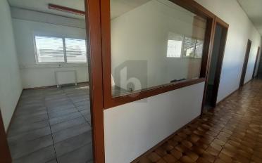 Bureau 11 pièces - image - 2